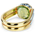ANELLO CHROMA SW5692500