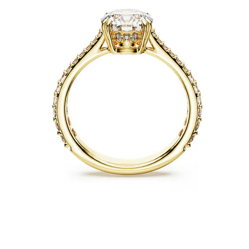 ANELLO COCKTAIL STILLA SW5642619