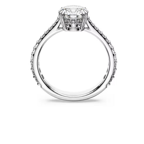 ANELLO COCKTAIL STILLA SW5717932
