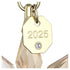 ANNUAL EDITION DECORAZIONE 3D FESTIVE 2025 SW5701505