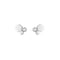 BEE MY LOVE EARRINGS 083984