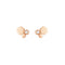 BEE MY LOVE EARRINGS 083985