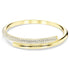 BRACCIALE RIGIDO DEXTERA SW5674980