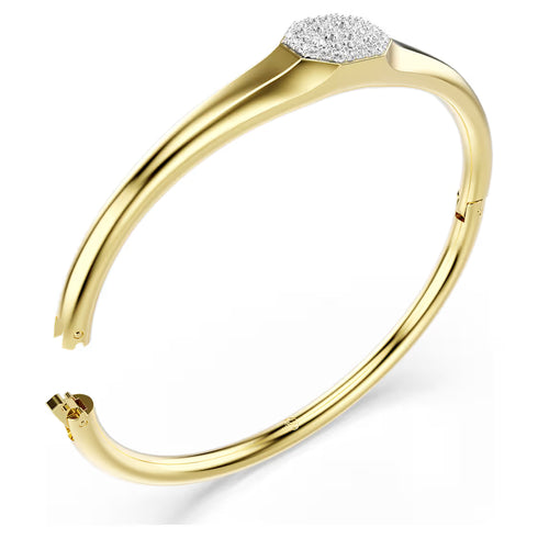 BRACCIALE RIGIDO DEXTERA SW5724599
