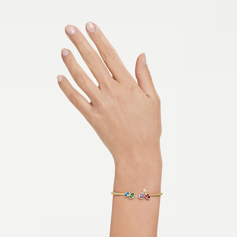 BRACCIALE RIGIDO IMBER SW5753259