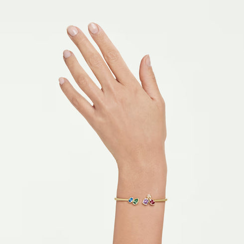 BRACCIALE RIGIDO IMBER SW5753260
