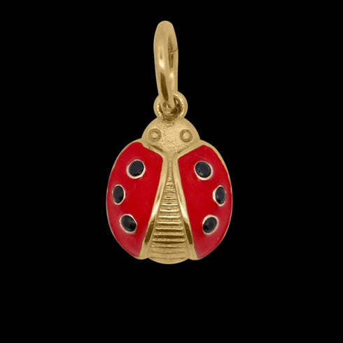 CHARM COCCINELLA CBCN60