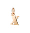 CHARM LETTERA INIZIALE X DMB2027LETXL0009R