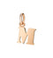 CHARM LETTERA M DMB2016LETML0009R