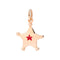 CHARM STELLA HERO DMB9025EVSTAERO9R