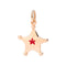 CHARM STELLA HERO DMB9025EVSTAERO9R
