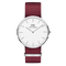 CLASSIC ROSELYN ARGENTO/BIANCO 40MM | DANIEL WELLINGTON DW00100272