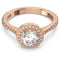 CONSTELLA SW5642641
