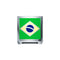 ELEMENTO BANDIERA BRASILE ORO BIANCO E SMALTO DCHF3464