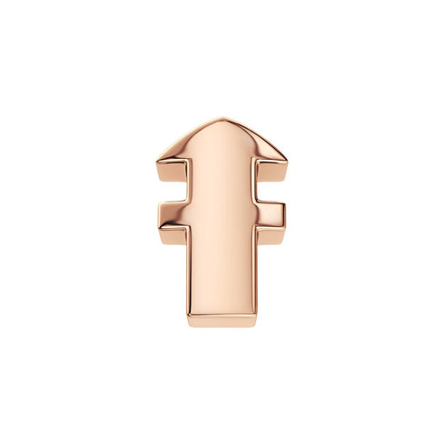 ELEMENTO SAGITTARIO ORO ROSA DCHF3941