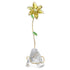 FLORERE GIGLIO SW5666972
