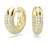 ORECCHINI A CERCHIO DEXTERA SW5636530