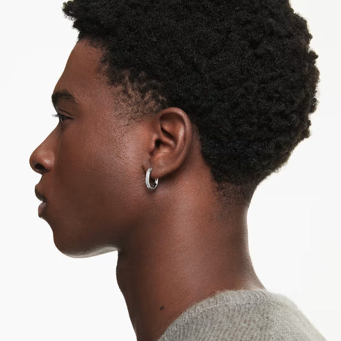 ORECCHINI A CERCHIO DEXTERA SW5724585