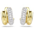 ORECCHINI A CERCHIO DEXTERA SW5740735