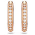 ORECCHINI A CERCHIO DEXTERA SW5743798