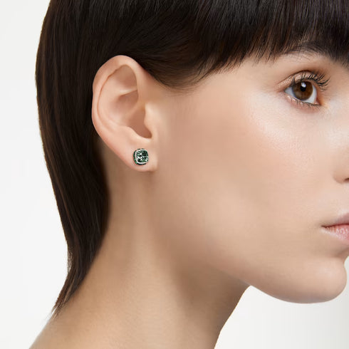 ORECCHINI A LOBO BIRTHSTONE SW5660801
