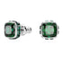 ORECCHINI A LOBO BIRTHSTONE SW5660801