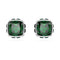 ORECCHINI A LOBO BIRTHSTONE SW5660801