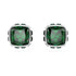 ORECCHINI A LOBO BIRTHSTONE SW5660801
