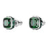 ORECCHINI A LOBO BIRTHSTONE SW5660801