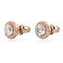 ORECCHINI A LOBO CONSTELLA SW5636275