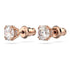 ORECCHINI A LOBO CONSTELLA SW5638801