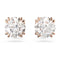 ORECCHINI A LOBO CONSTELLA SW5638801