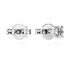 ORECCHINI A LOBO ETERNITY SW5728555