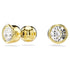 ORECCHINI A LOBO IMBER SW5681552