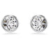 ORECCHINI A LOBO IMBER SW5696073