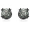 ORECCHINI A LOBO MILLENIA SW5642511