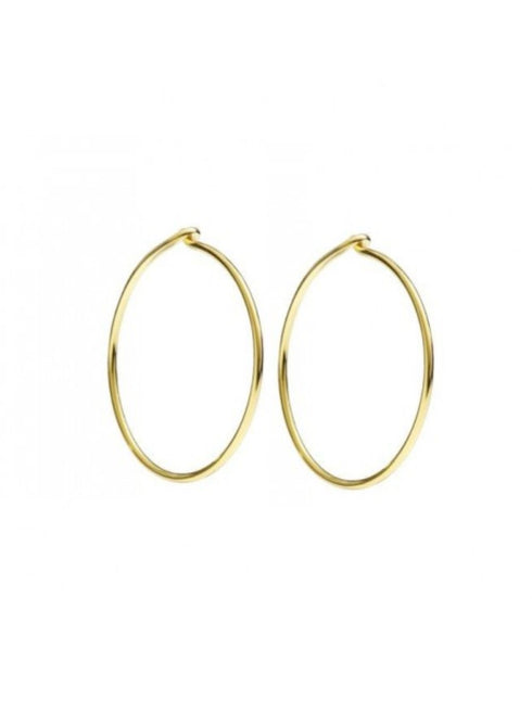 EARRINGS DO94002HOOPL000OG