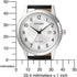 OROLOGIO CITIZEN ELEGANCE AW1231-07A