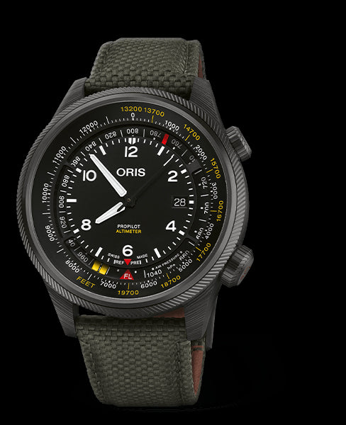 PROPILOT ALTIMETER 79377758734-SET