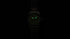 PROPILOT X KERMIT EDITION 40077787157-SET