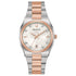 SURVEYOR LADY 98P199
