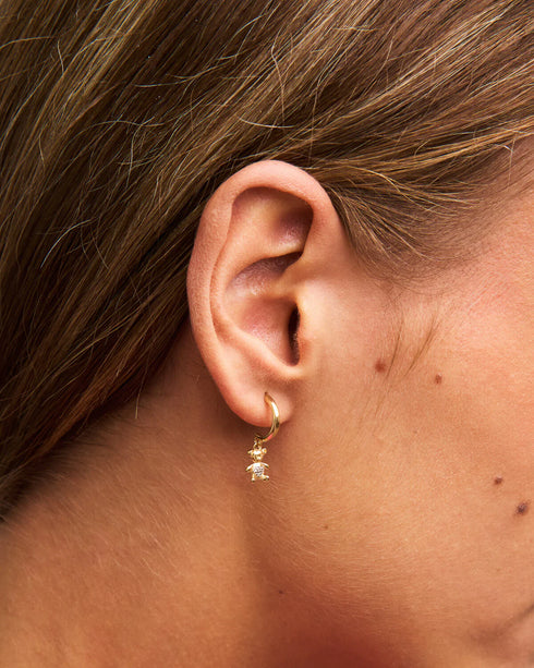 TEDDY FANCY ORO GIALLO ORZCERCORSAU